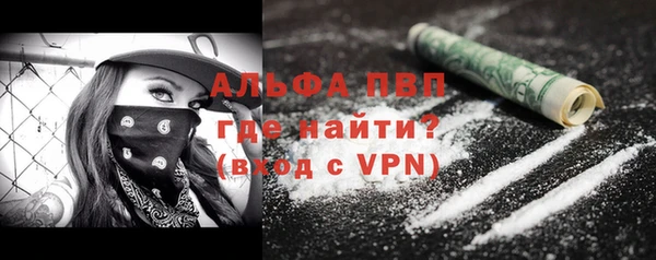 прущие грибы Абинск