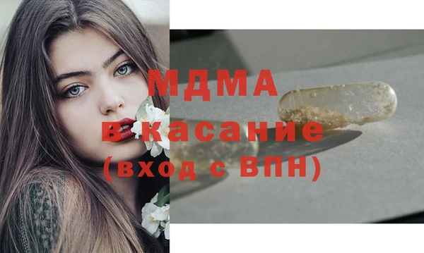 прущие грибы Абинск